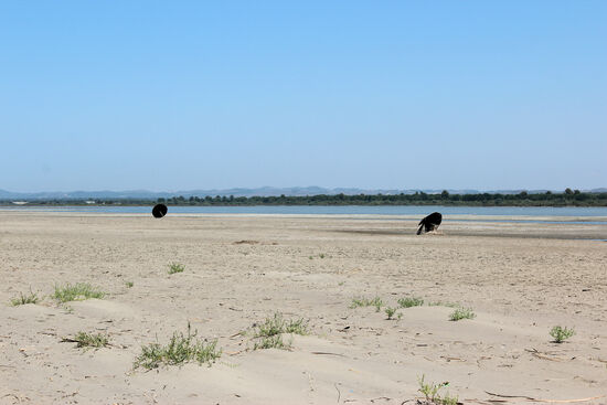 Nationalpark Divjaka-Karavasta