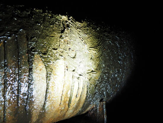 Undefinierbares, fieses Zeug...