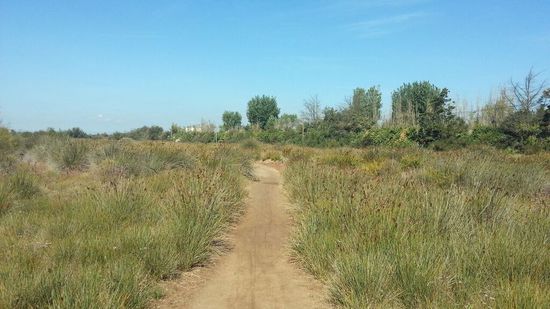 immer dem Trampelpfad nach.