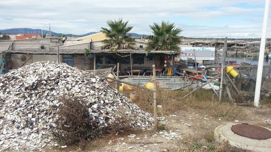 Auf dem Weg zum Strand lagen rammeldickevolle kleine Restaurants, wo es wohl ausschliesslich Muscheln gab. Hinter dem letzten dann dieser Haufen Muschelschalen.