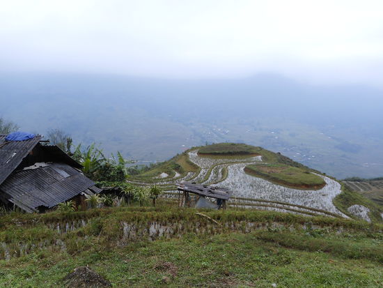 Reisterrassen in den Bergen