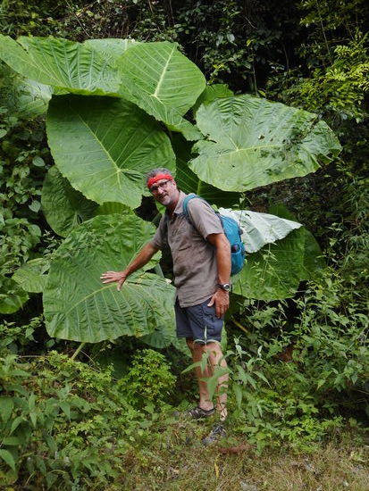 Auf dem Weg zu den Wasserfällen.
Blutegel waren Inkludiert.