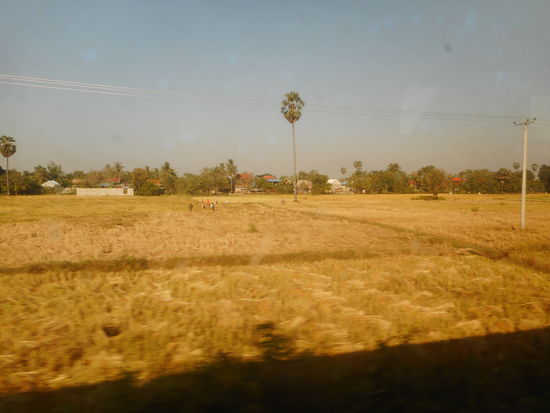 Blick aus dem Zugfenster