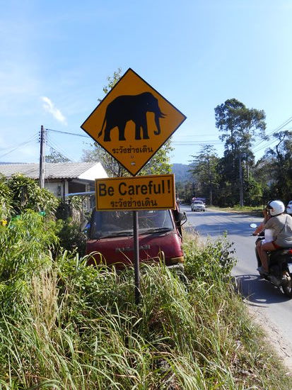 Auch das gibt's auf der Insel