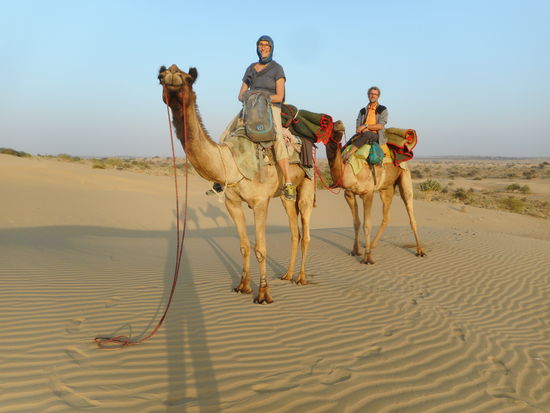 Ganz schön groß die Wüstenschiffe.