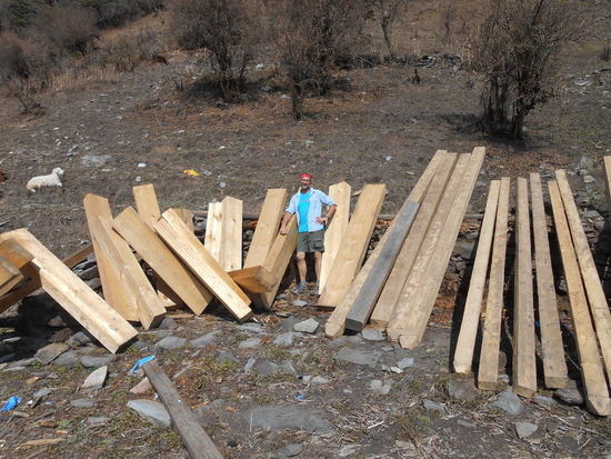 Von Hand gehackte Balken werden zum Trocknen auf Gerüste gelehnt,........