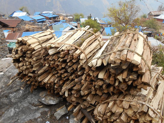 Auch Brennholz und......