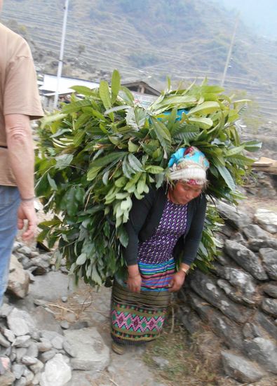 Tierfutter wir mit dem Stirnband ins Dorf getragen.