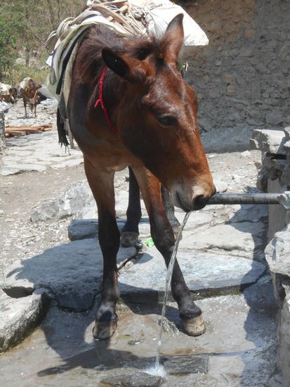 Schweres arbeiten macht durstig.