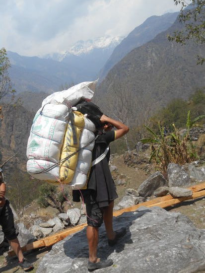 Der hier trägt mehr als die Vierbeiner.