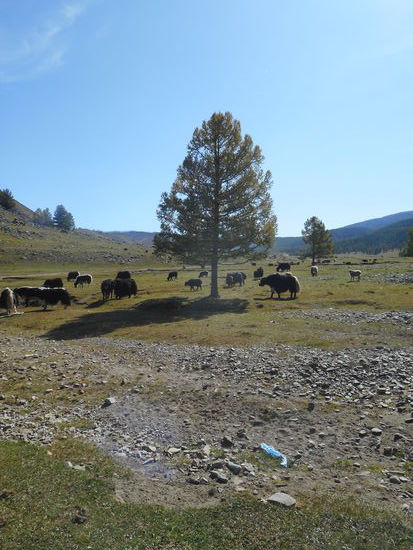 Samstag im Gebirge