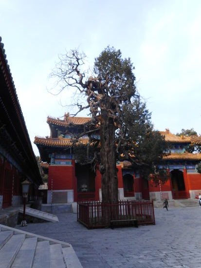 In der Anlage des Konfuziustempels