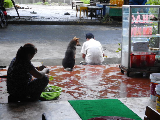 Essensvorbereitung der Restaurantküche