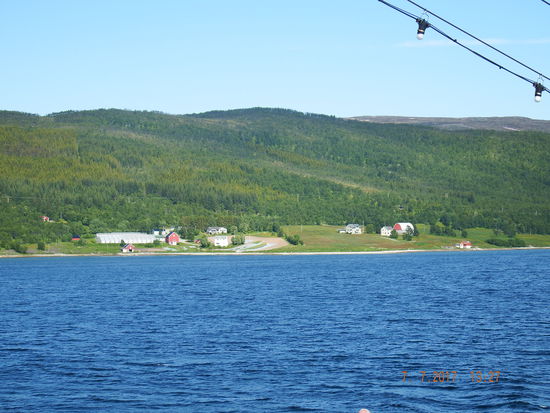 Auf dem Weg nach Tromsoe. Es gibt wieder Bäume