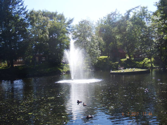 dem Stadtteich mit vielen Enten...