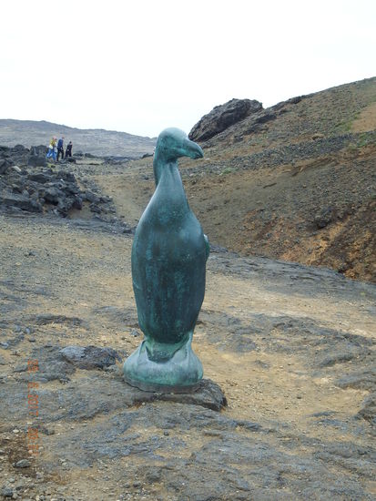 Ein Tukan (wenn ich mich recht erinnere) sie sind auf jeden Fall ausgestorben auf Island...