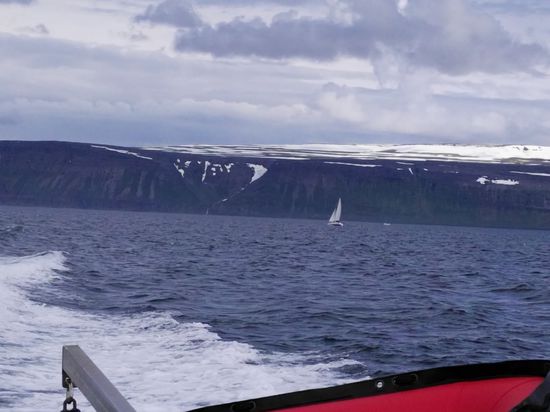 Mit dem Schiff den Gletscherfjord entlang