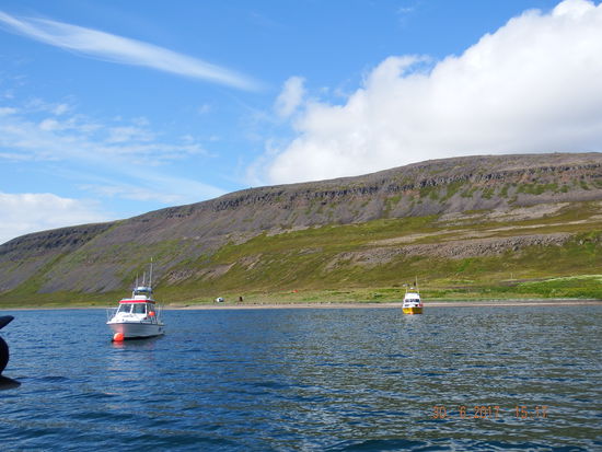 Bei Ankunft in Hesteyri scheint die Sonne