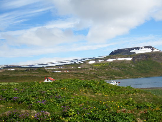 wundershöne Natur inkl. Fliegen