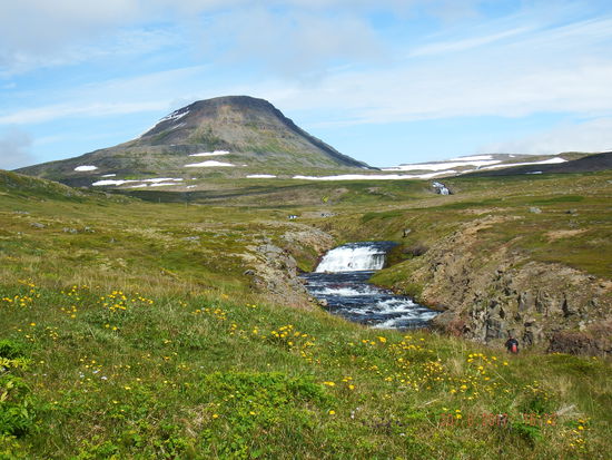 Ganz hoch schaffen es die Männer dann doch nicht