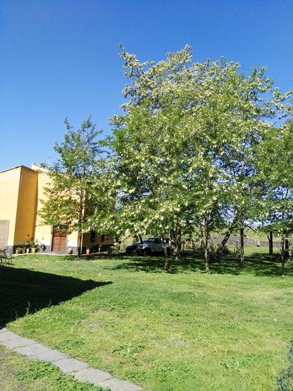 Hier wohnt die Gastgeber-Familie