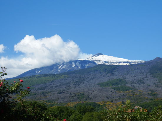 Heute ist mal wieder richtig blauer Himmel