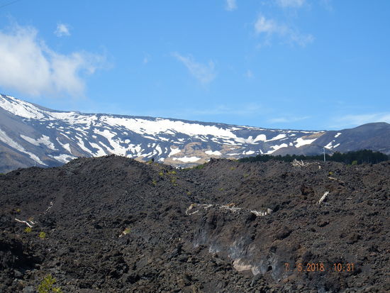 20 Minuten später fahren wir durch diese Lavafelder