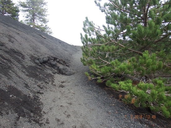 hier geht es auch ein wenig hoch... für uns jedoch ein Klacks