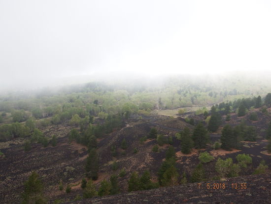 leider wird es jetzt dunstig