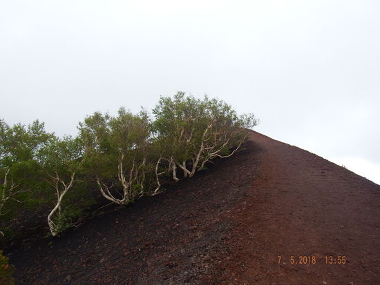 wir genießen trotzdem den Spaziergang und den kleinen Aufstieg