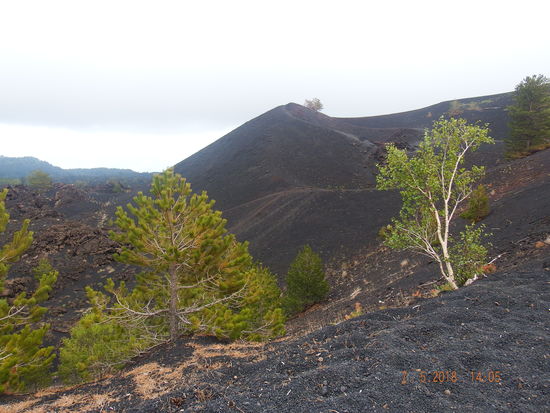 und die schöne Landschaft
