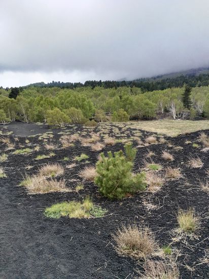 und freuen uns daran, dass es überall neues Grün gibt