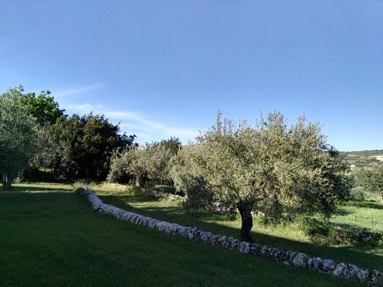 Natur pur und sehr gepflegt