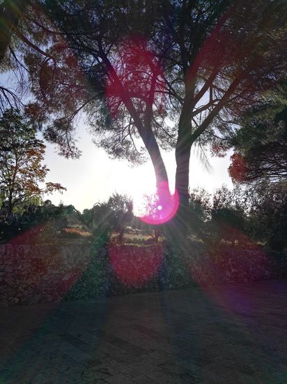 Leider geht die Sonne bald unter