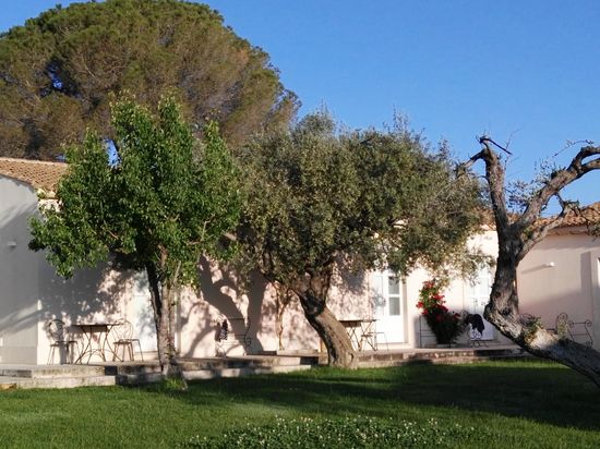 Es sollte ein wunderschöner Tag werden