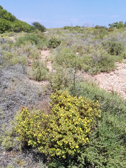 inmitten schöner Natur