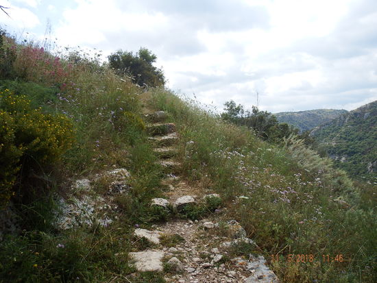 und wir machen uns auf den Weg. Rechts unten ist die Schlucht, die man auch auf einer stillgelegten Eisenbahntrasse durchwandern kann. Uns war es jedoch lieber oben zu laufen...