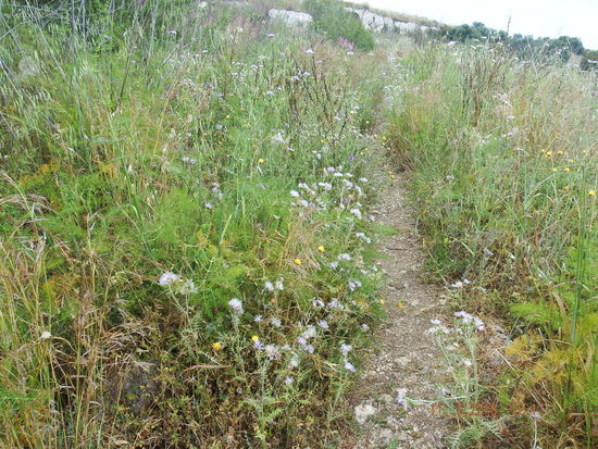 wir waren fast alleine, nur wenige andere Touristen waren unterwegs