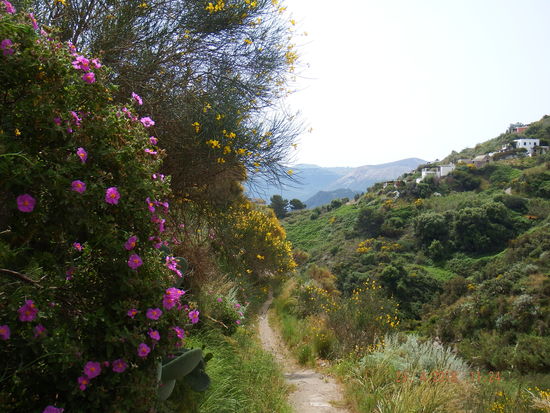 hier laufen wir gerade falsch... der Weg war aber trotzdem schön