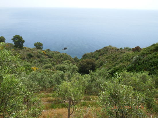 jetzt wieder auf dem richtigen Weg