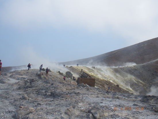 wir sind trotzdem nicht ganz alleine