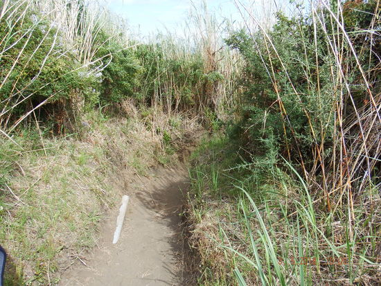 hier laufen wir dann morgen tatsächlich lang