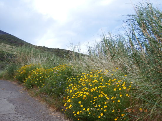 also ging es wieder runter ans Meer