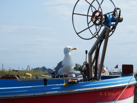 Am Strand ist es ebenfalls angenehm und wir sind ganz alleine