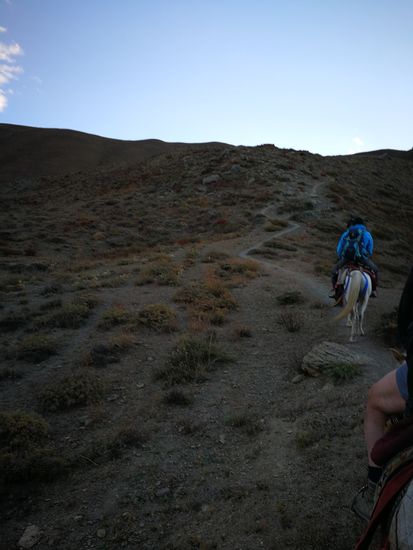 Reiten anstatt Laufen