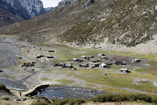 Nomadenlager in Shey Gompa