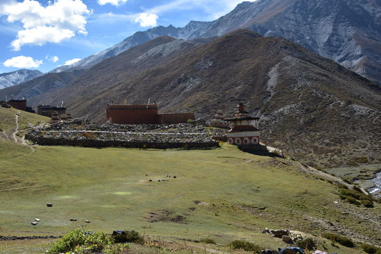 Nomadenlager in Shey Gompa
