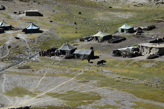 Nomadenlager in Shey Gompa