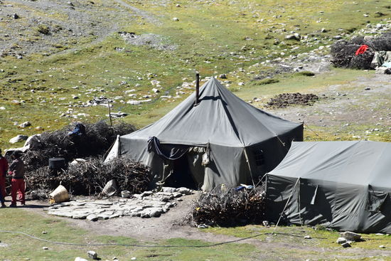 Nomadenlager in Shey Gompa