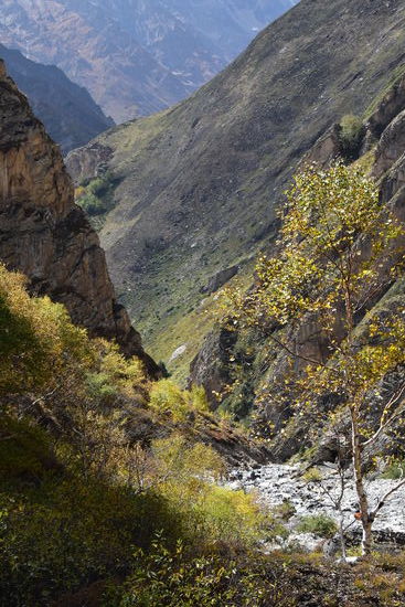 endlich wieder etwas grün